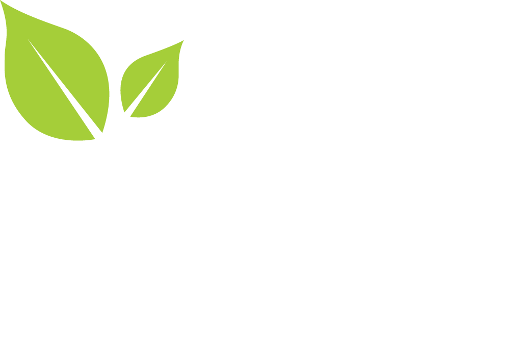 MS Analytical